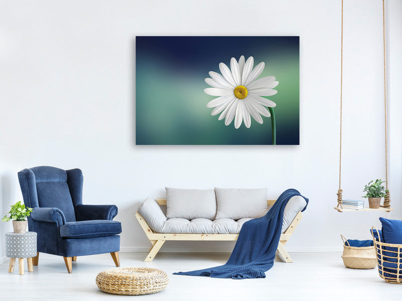 canvas-print-flower