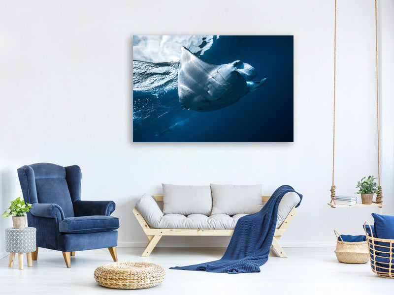 canvas-print-flying-manta-ray