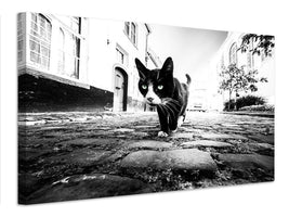 canvas-print-focus-x