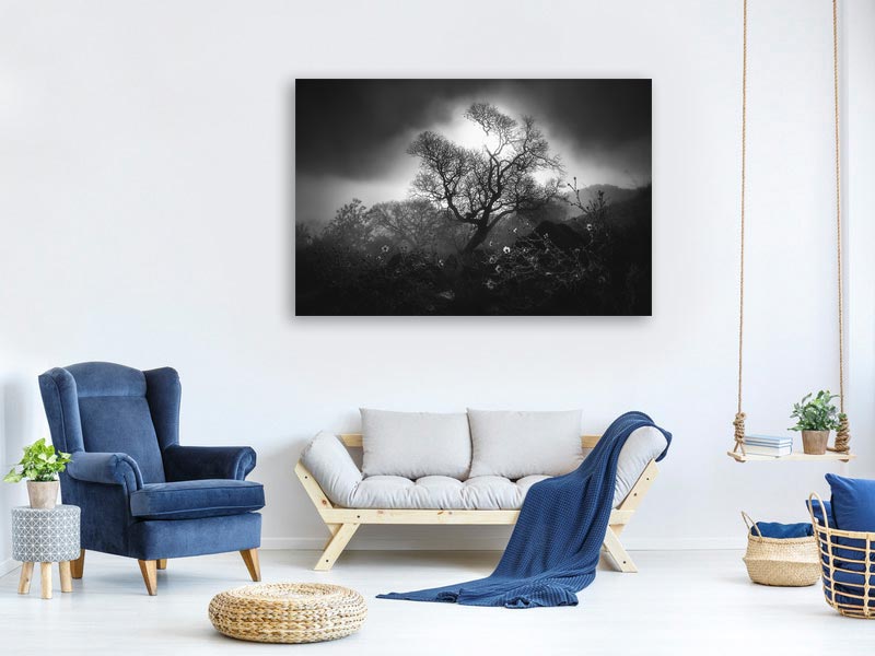 canvas-print-fog-scene-x