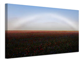 canvas-print-fogbow-x