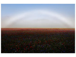 canvas-print-fogbow-x