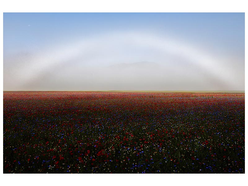 canvas-print-fogbow-x