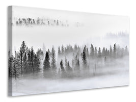 canvas-print-foggy-forest