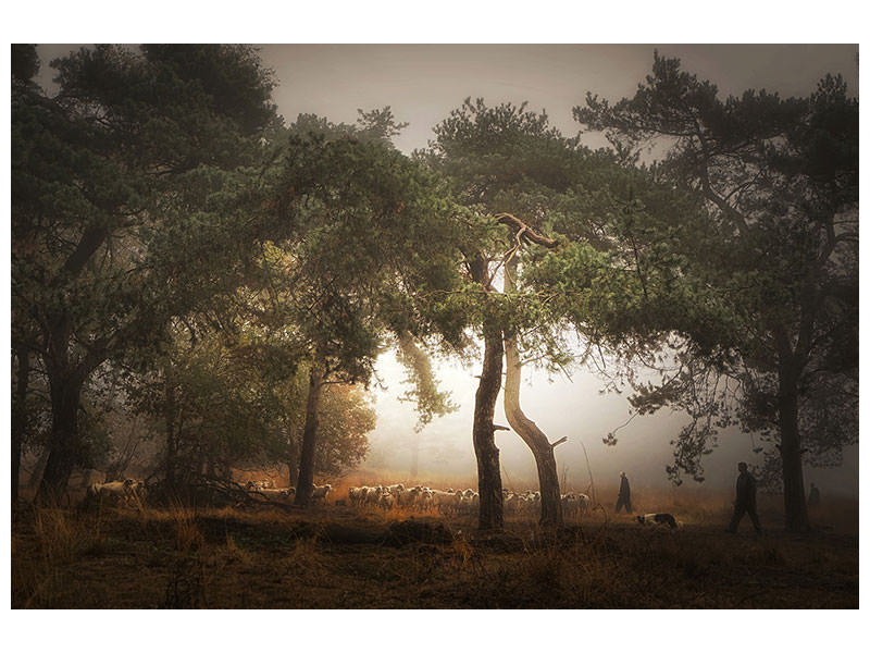 canvas-print-foggy-memory-of-the-past-iii