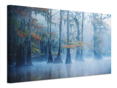 canvas-print-foggy-swamp-morning-x