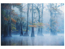 canvas-print-foggy-swamp-morning-x