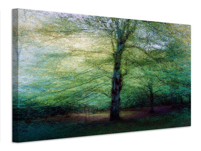 canvas-print-forest-xpf