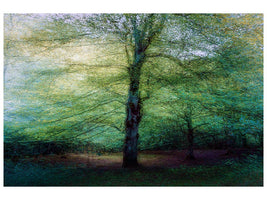canvas-print-forest-xpf