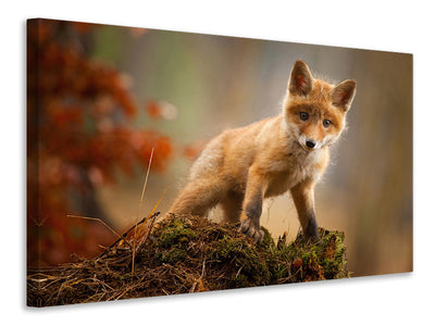 canvas-print-fox