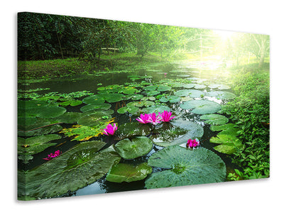 canvas-print-garden-pond