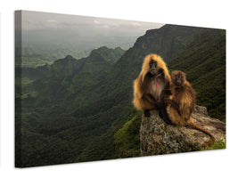 canvas-print-gelada-baboons-xep