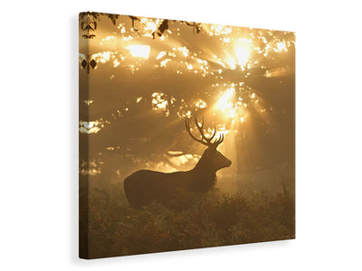 canvas-print-ghost-of-the-forest