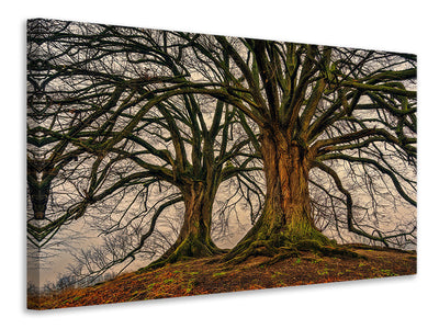 canvas-print-ghostly-trees