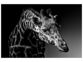 canvas-print-giraffe-x