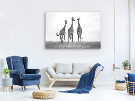 canvas-print-giraffes-in-the-mara-plains-x