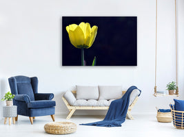 canvas-print-glowing-tulip