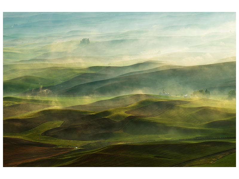 canvas-print-golden-morningpalouse-x