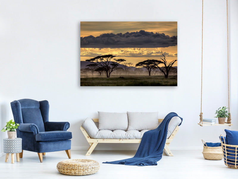 canvas-print-good-evening-tanazania