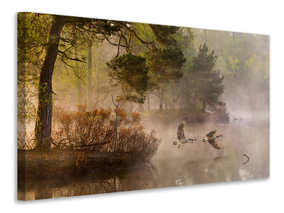 canvas-print-goose-fight