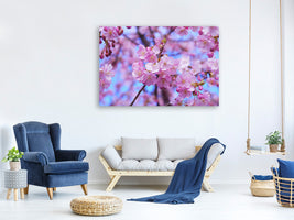 canvas-print-gorgeous-cherry-blossom