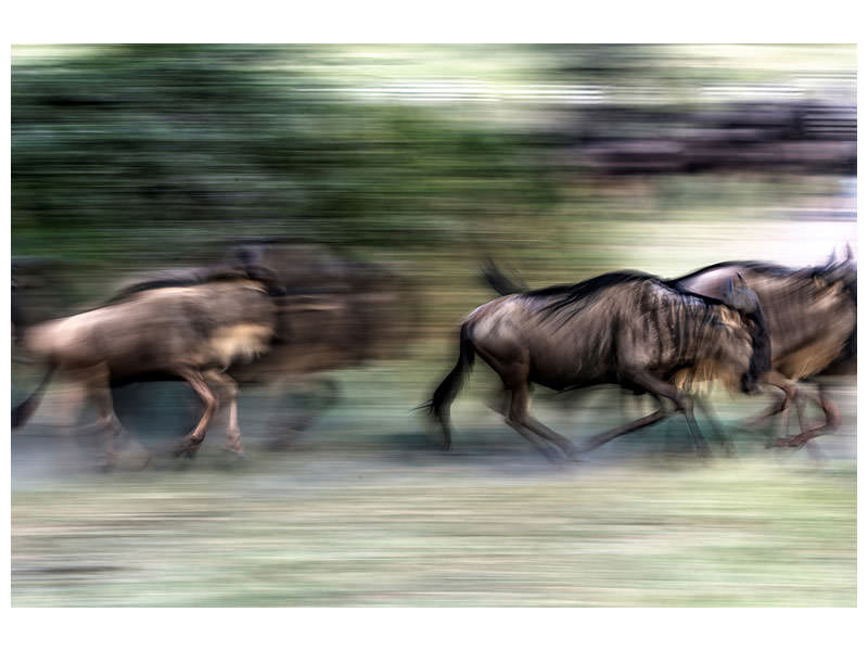 canvas-print-great-migration