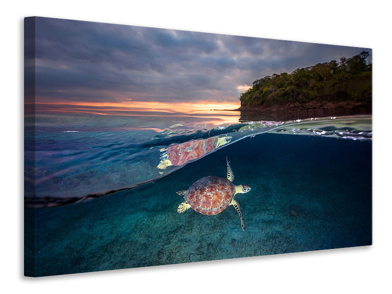 canvas-print-green-turtle-with-sunset