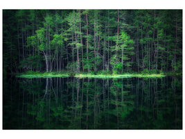 canvas-print-green-world-x