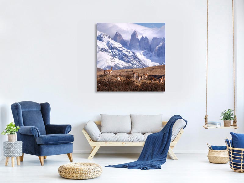 canvas-print-guanakos-in-patagonia-x