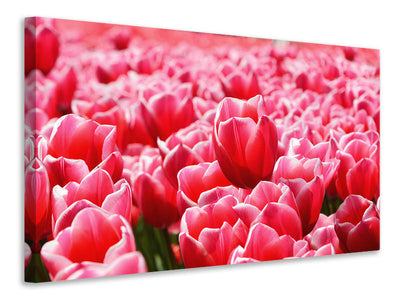 canvas-print-happy-tulip-field