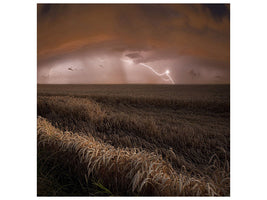 canvas-print-harvest-lights