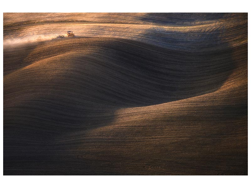 canvas-print-harvest-time-x