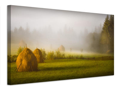 canvas-print-hay-x