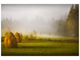 canvas-print-hay-x