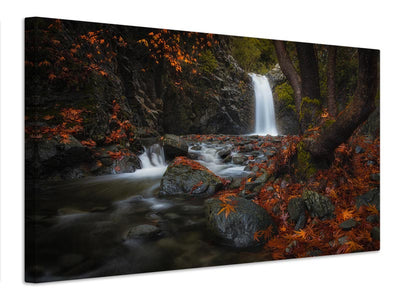 canvas-print-headwaters-x