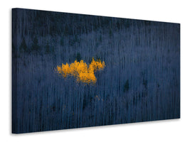 canvas-print-heart-of-aspens