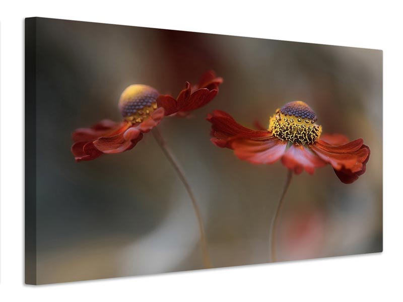 canvas-print-helenium-dance-x