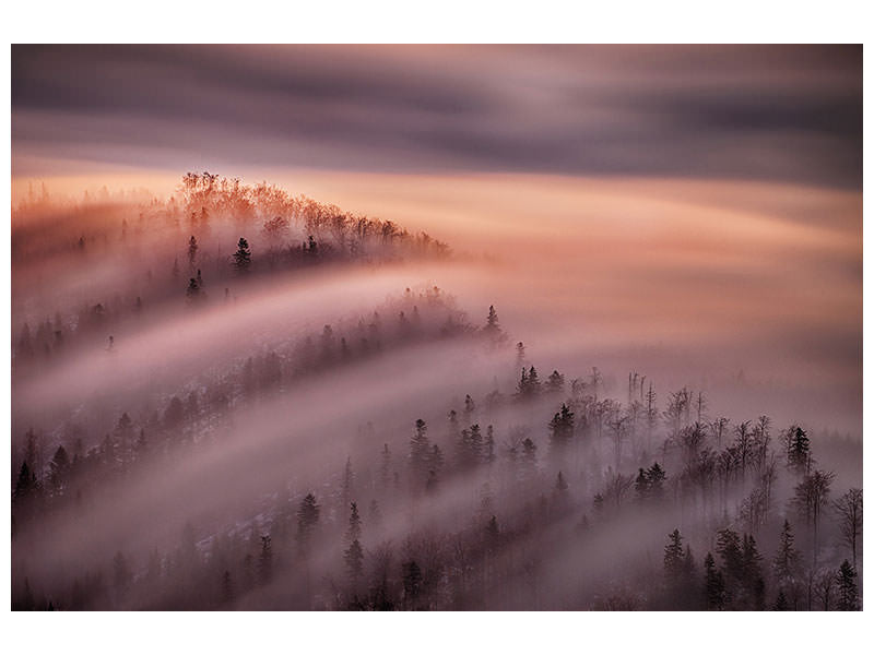 canvas-print-high-tide