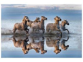 canvas-print-horses-and-reflection-x