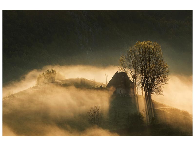 canvas-print-house-of-the-rising-sun-x