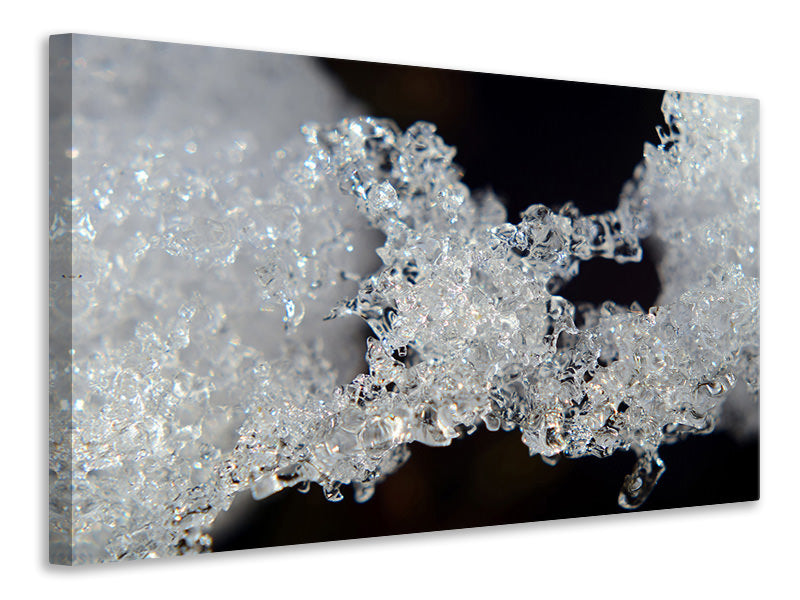 canvas-print-ice-crystals-xl