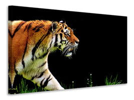 canvas-print-imposing-tiger