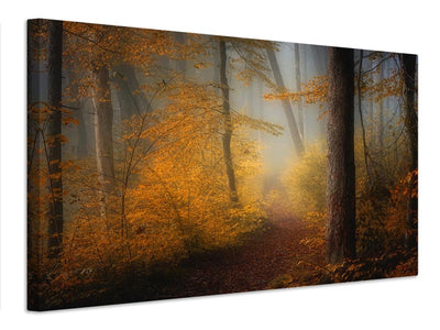 canvas-print-in-autumn-x