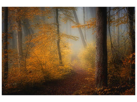 canvas-print-in-autumn-x