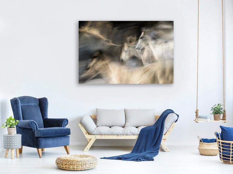 canvas-print-in-motion-x