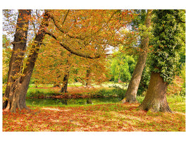 canvas-print-in-the-middle-of-autumn-trees