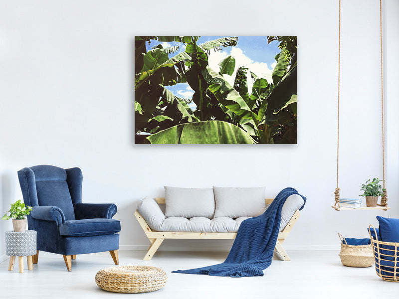 canvas-print-in-the-middle-of-the-jungle