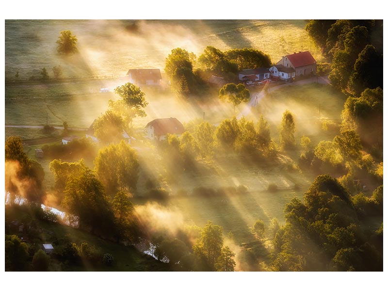 canvas-print-in-the-morning-sun-x