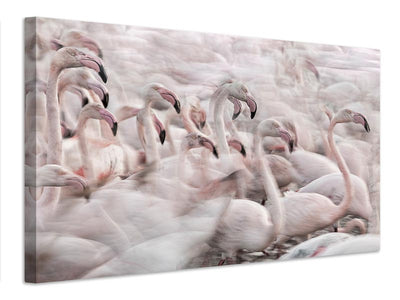 canvas-print-in-the-pink-transhumance-x
