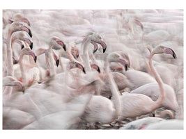 canvas-print-in-the-pink-transhumance-x